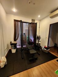 Holland Link (D10), Terrace #451619301